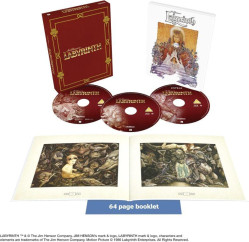 Labyrint - Limited Collectors Edition Steelbook 4K Ultra HD + Blu-ray (bez CZ)