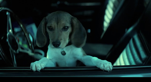 detail John Wick - Blu-ray