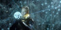 náhled Prometheus - Blu-ray 3D + 2D