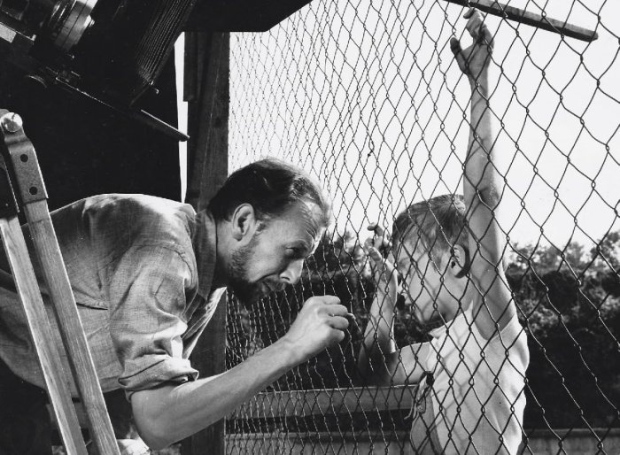 detail Holubice - Blu-ray + DVD Digipack