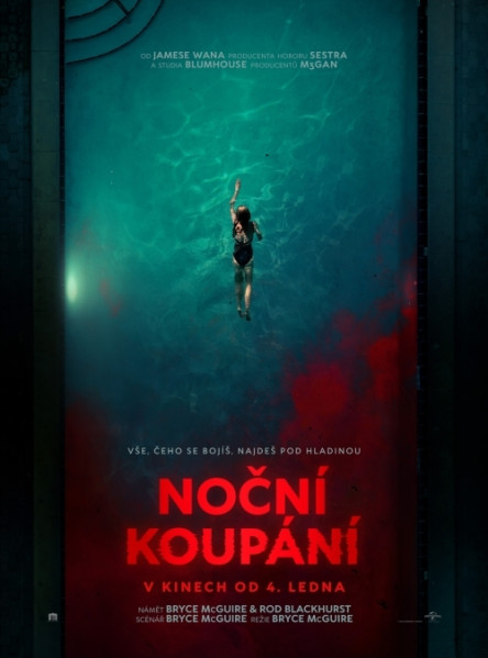 detail Noční koupání - DVD