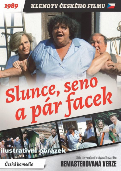 detail Slunce, seno a pár facek - Blu-ray