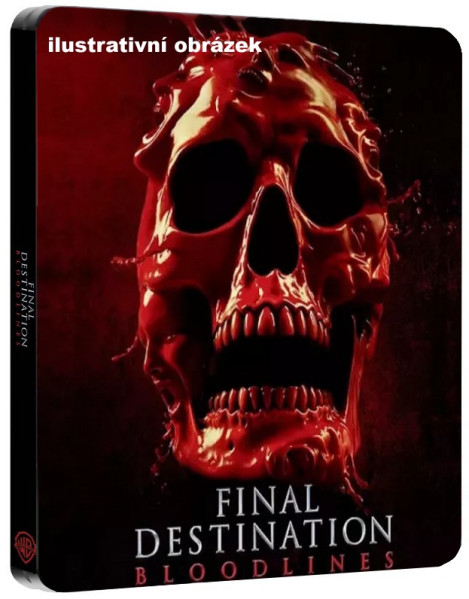 detail Nezvratný osud: Pokrevní linie - 4K UHD + Blu-ray Steelbook motiv Alt Skull