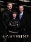náhled Labyrint - 2. série - 2 DVD