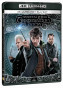 náhled Fantastická zvířata: Grindelwaldovy zločiny - 4K Ultra HD Blu-ray + Blu-ray 2BD